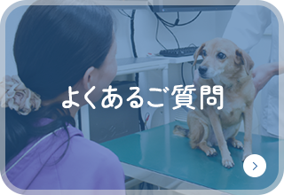 よくあるご質問
