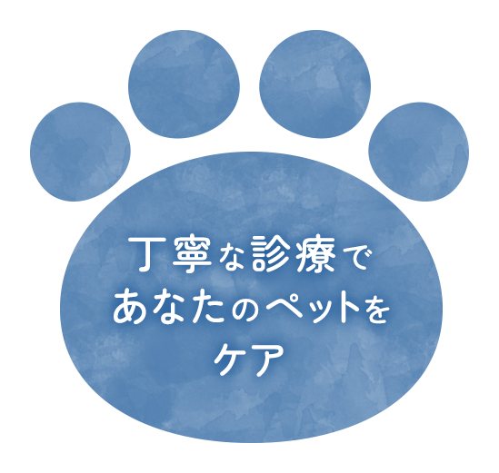 丁寧な診療であなたのペットをケア