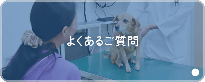よくあるご質問