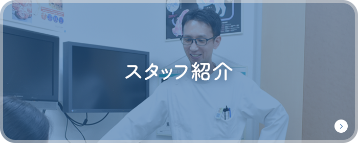 スタッフ紹介