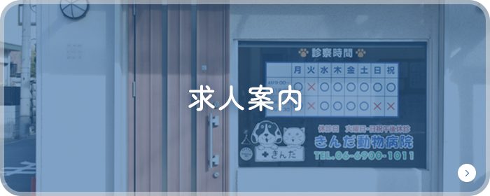 求人案内