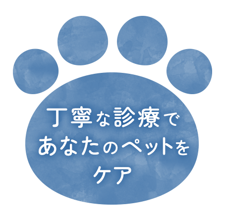 丁寧な診療であなたのペットをケア